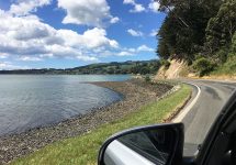 ニュージーランド旅行、ダニーデン、オタゴ半島、ドライブ